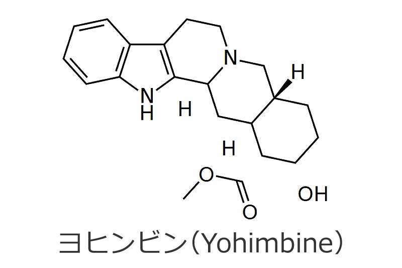 ヨヒンビンの効果・効能 | 精力剤・滋養強壮剤の原料